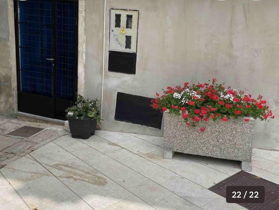 Alma Appartement *